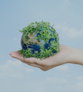 eco conscious eco conscious